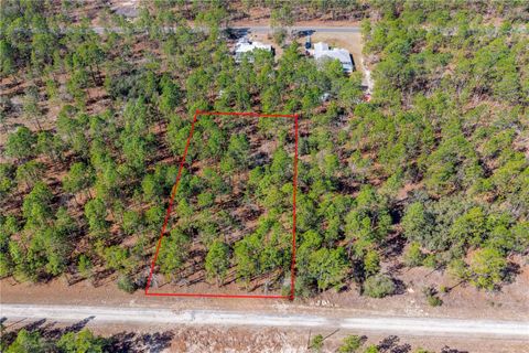TBD SE 138TH AVE , LOT 9 DUNNELLON FL 34431