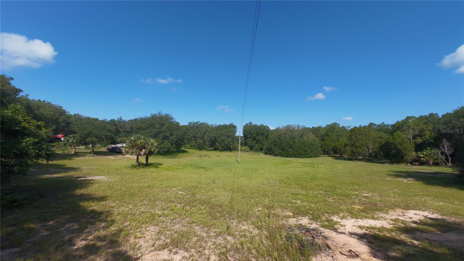 41739 THOMAS BOAT LANDING ROAD - Photo 4