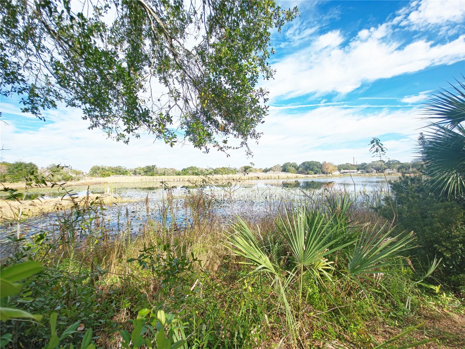 SEMINOLE HEIGHTS - Residential
