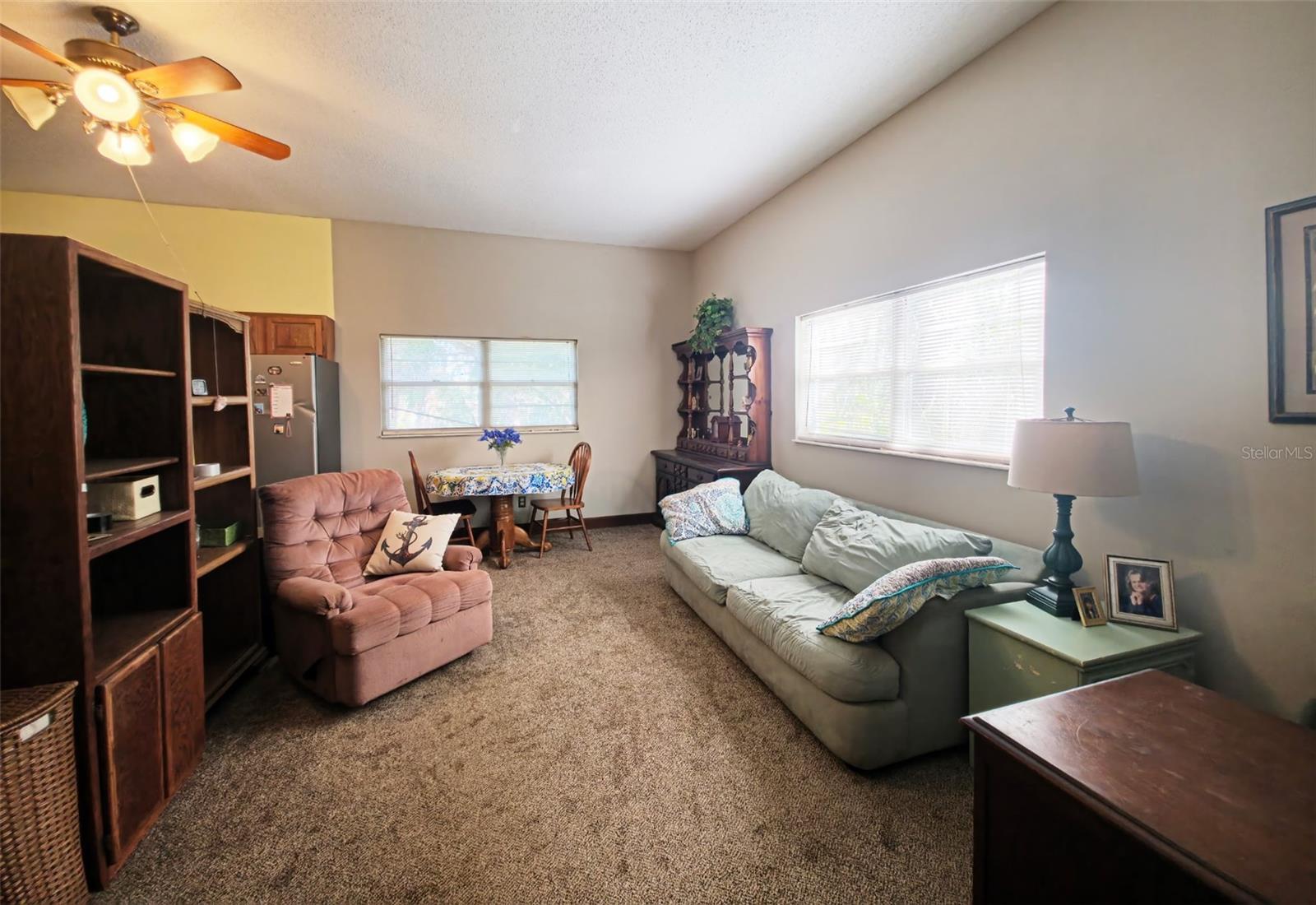 SEMINOLE HEIGHTS - Residential