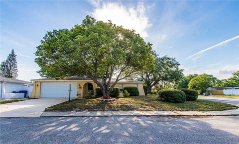 8900 LIDO LANE PORT RICHEY FL 34668