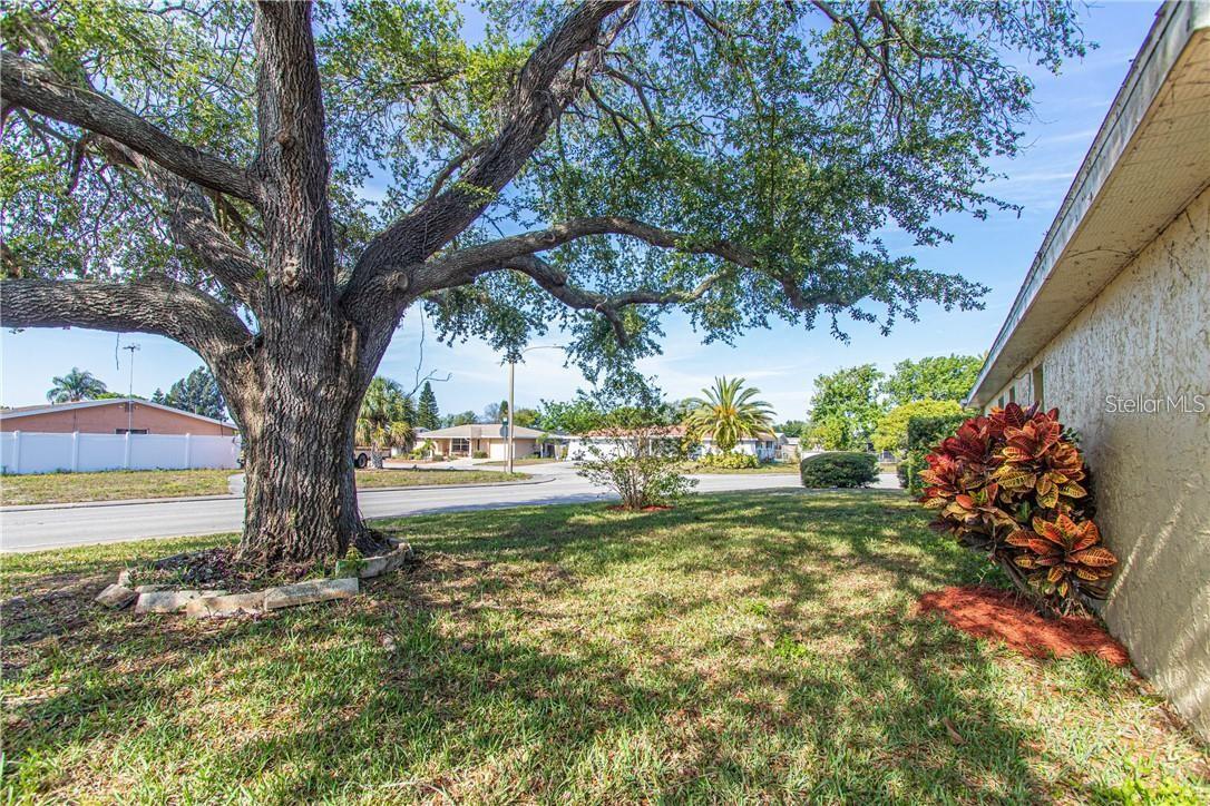 EMBASSY HILLS - Residential