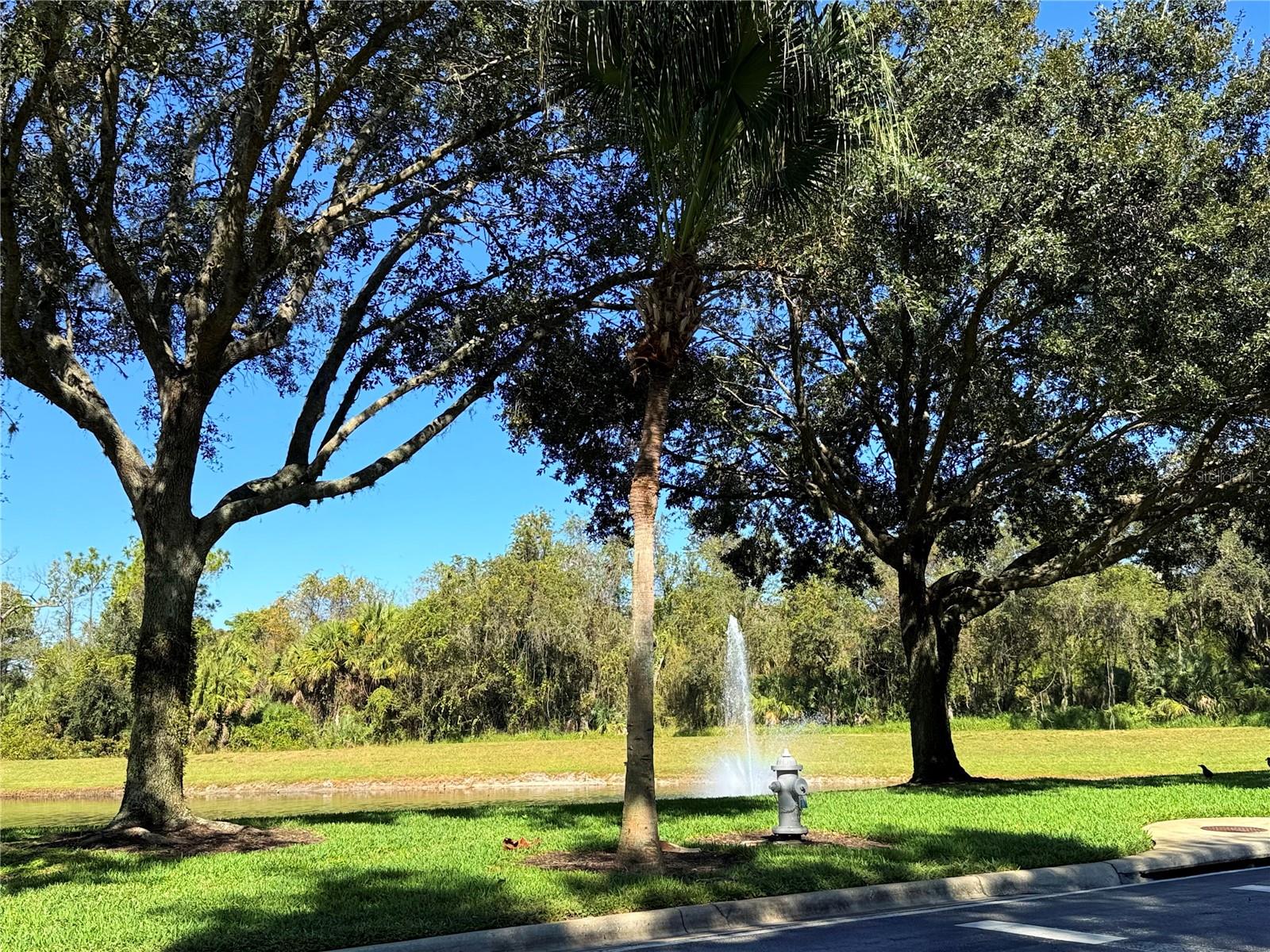 EMERALD ISL RSRT PH5A - Residential