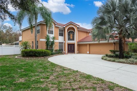 A home in TAMPA