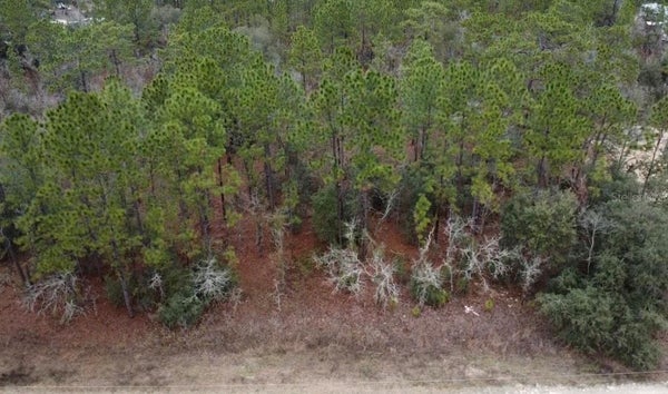TBD SW 91ST LANE, DUNNELLON, FL 34432 - Image 1d9ea8cdfe1d79bf5d88367c9c621467/1755085980
