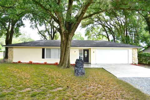 A home in ALTAMONTE SPRINGS