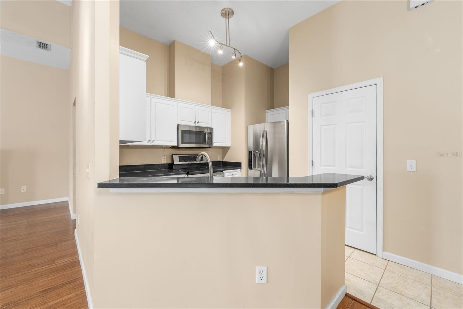 THE VILLAGE AT HAILE - Residential