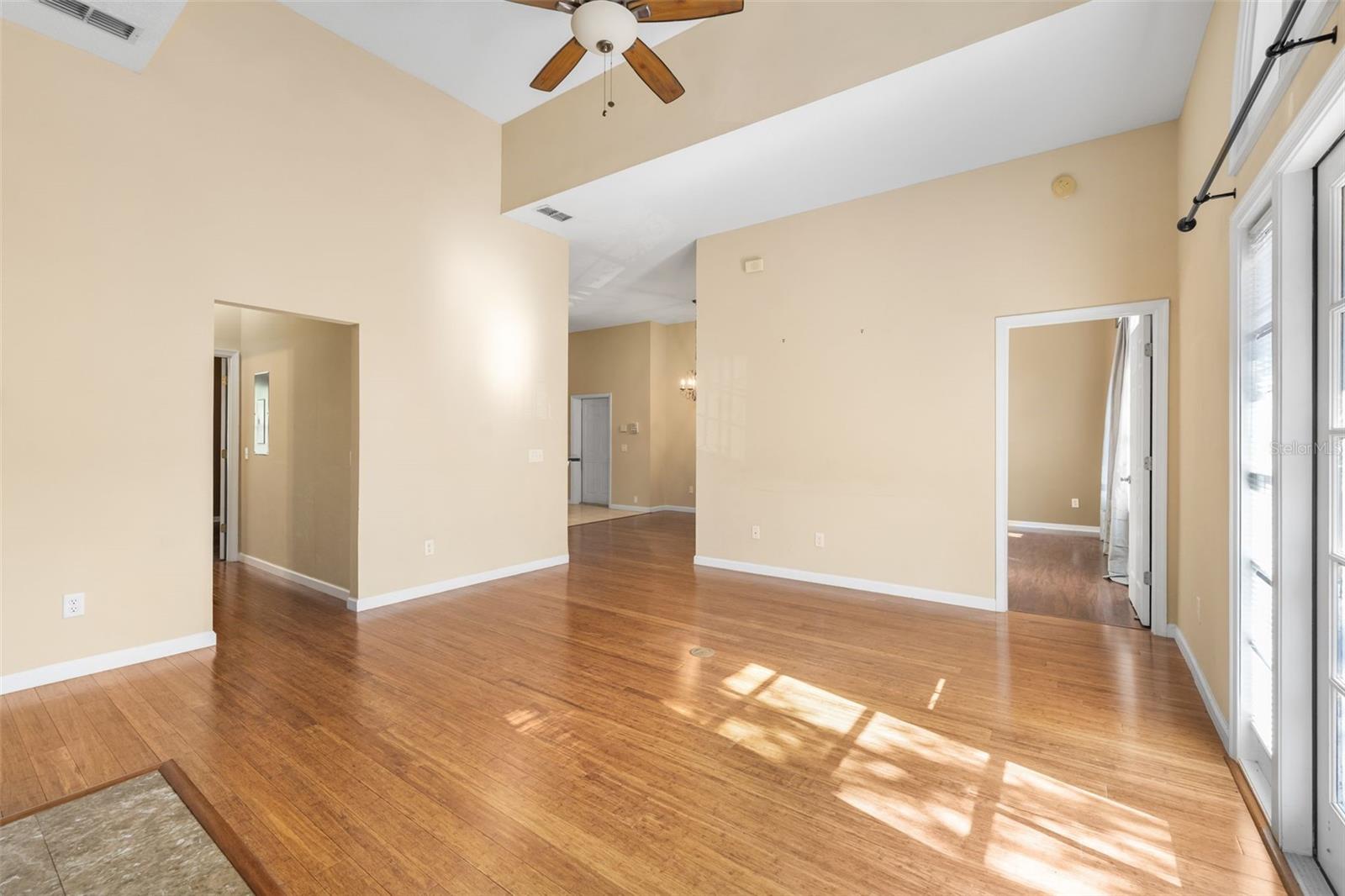 THE VILLAGE AT HAILE - Residential