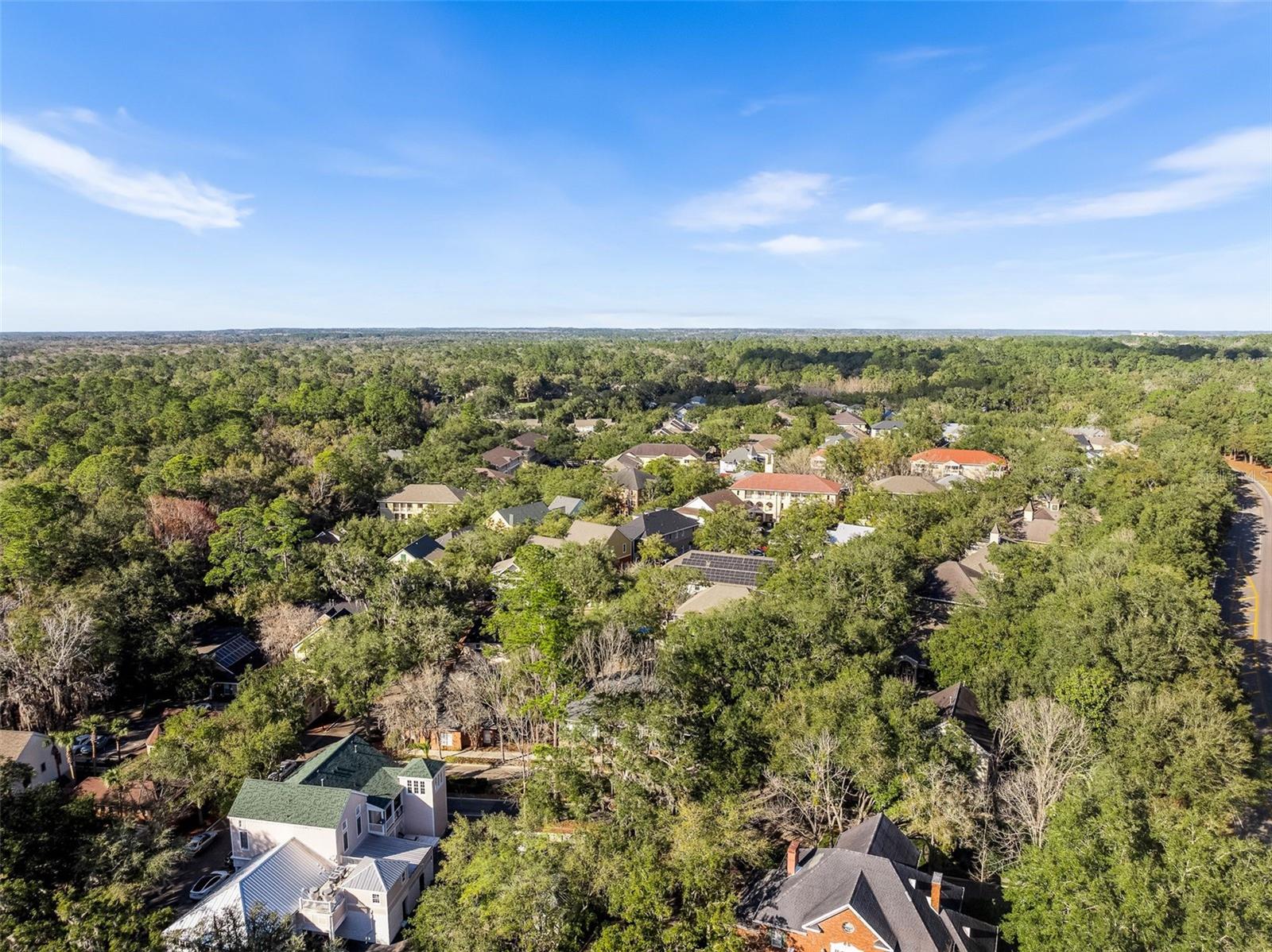 THE VILLAGE AT HAILE - Residential