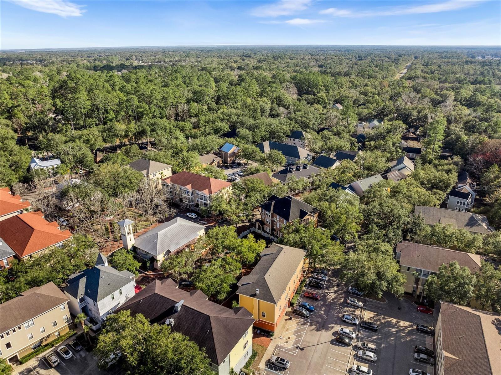 THE VILLAGE AT HAILE - Residential