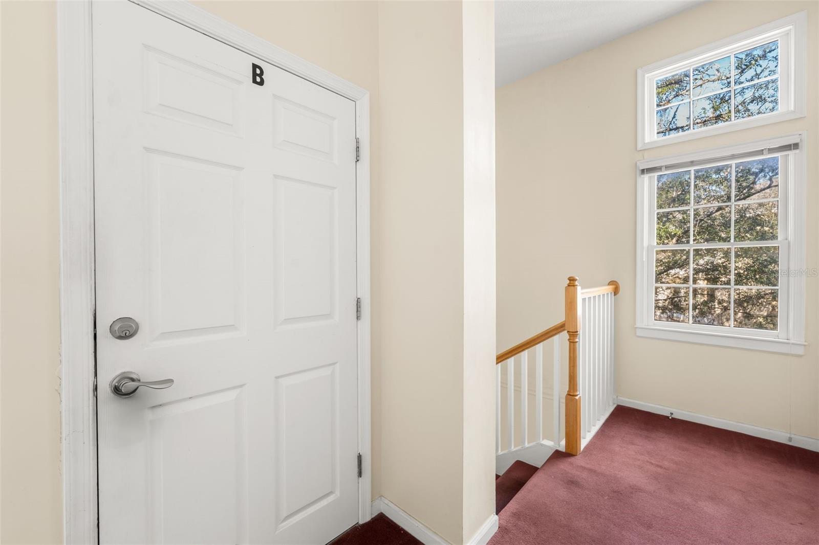 THE VILLAGE AT HAILE - Residential