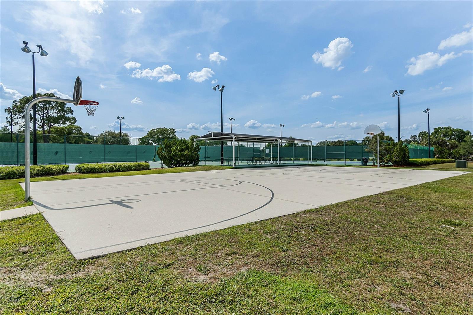 RAINTREE VILLAGE CONDO - Residential