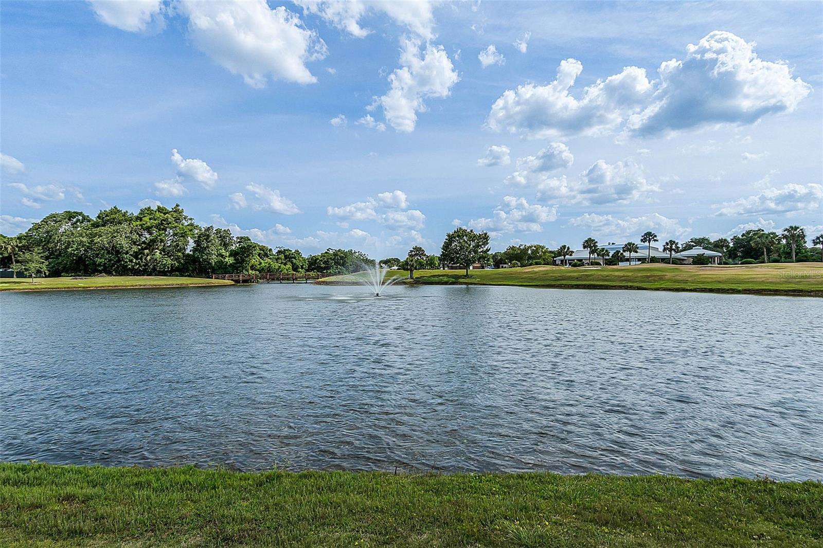 RAINTREE VILLAGE CONDO - Residential