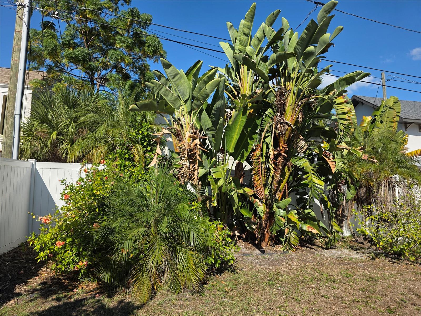 SPRING HILL REV - Residential Lease