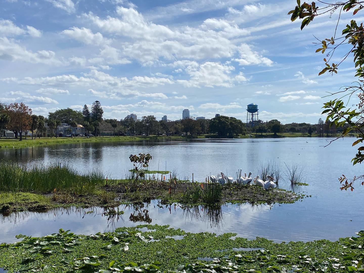 SPRING HILL REV - Residential Lease