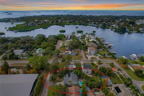 841 DELAWARE AVENUE PALM HARBOR FL 34683