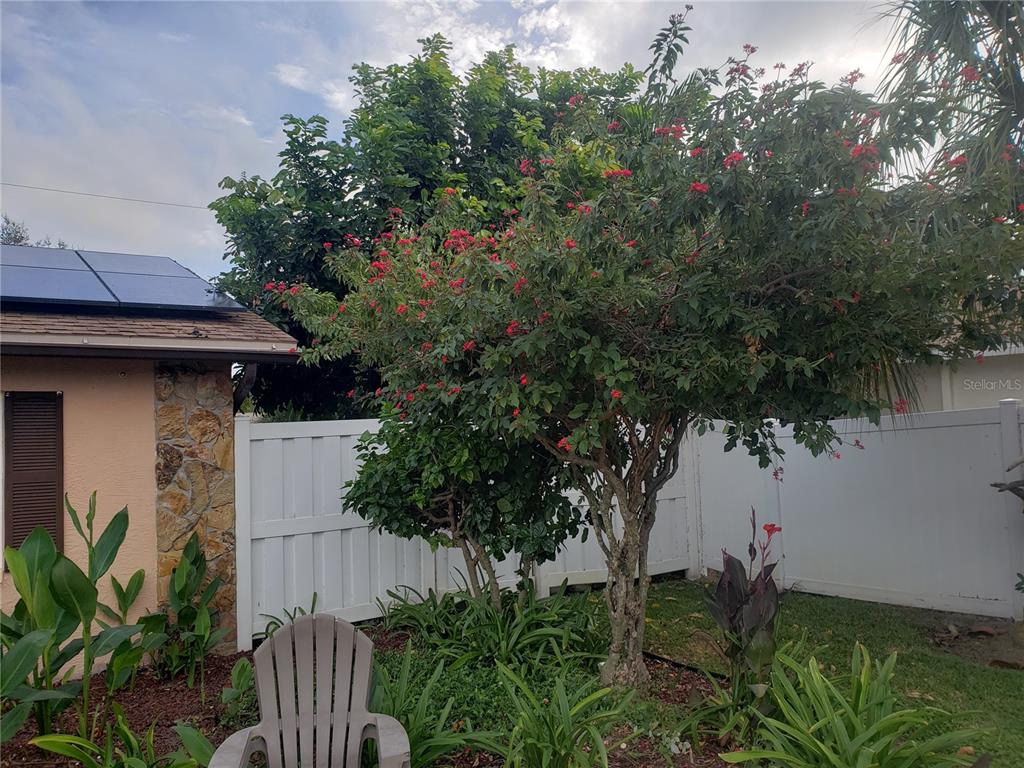 LEWIS ISLAND BAHAMA ISLES ADD - Residential