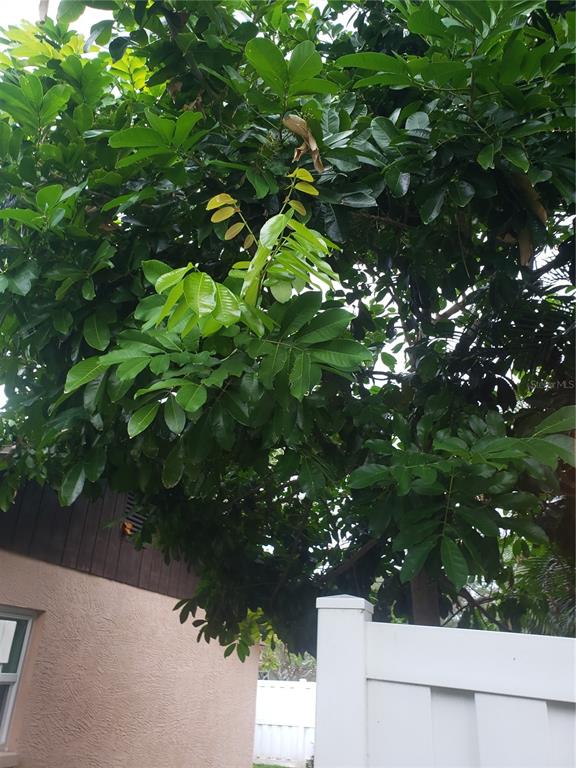 LEWIS ISLAND BAHAMA ISLES ADD - Residential