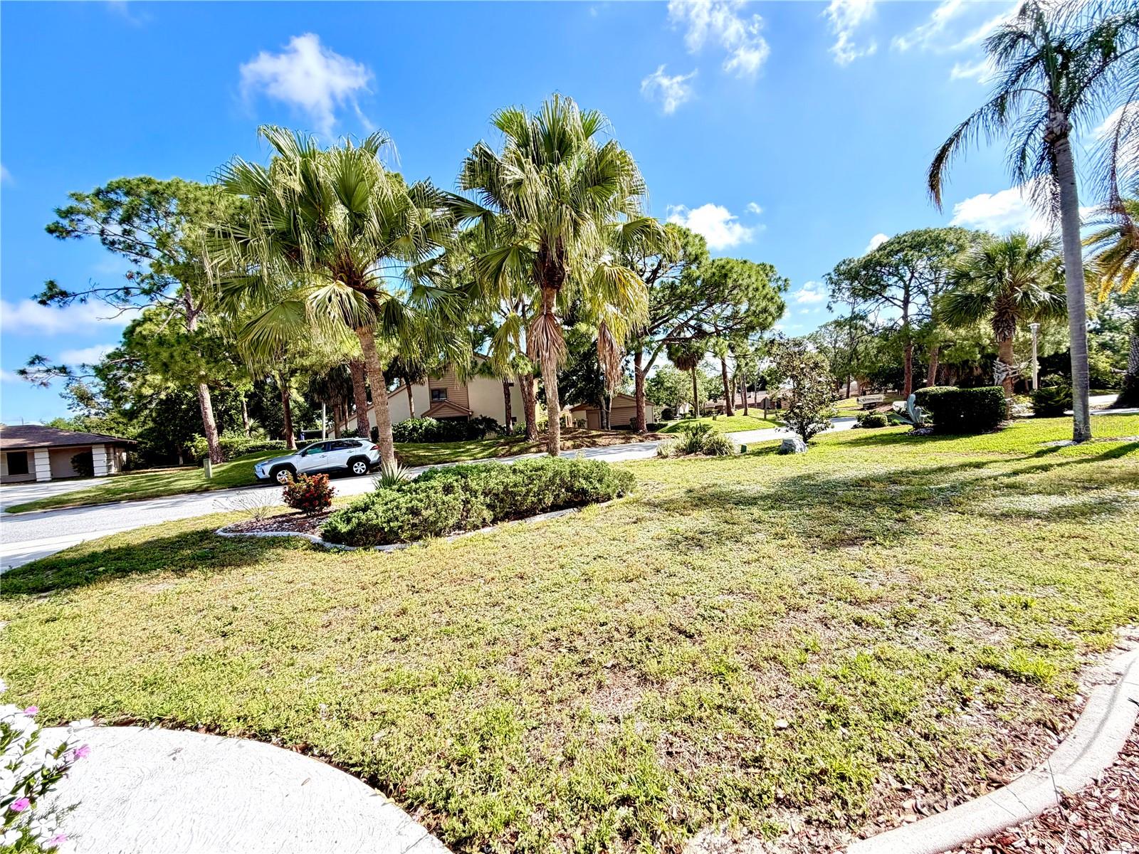 MEADOWS THE - Residential