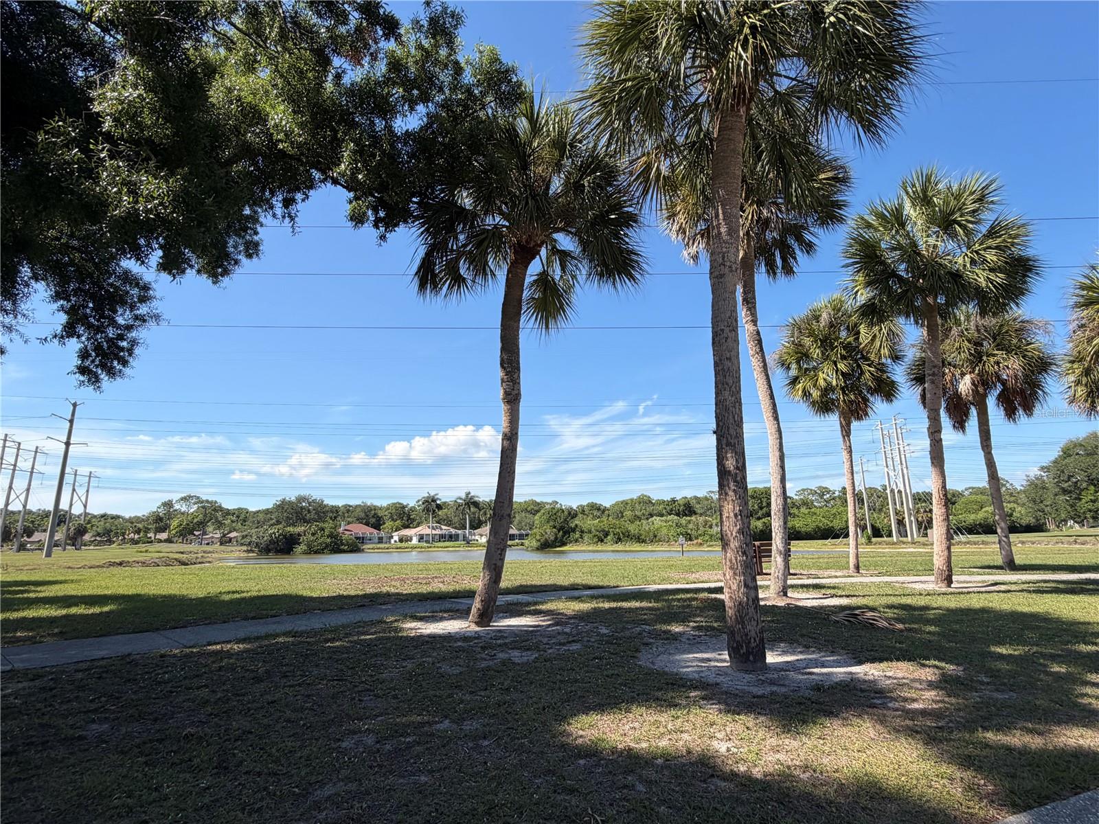 MEADOWS THE - Residential