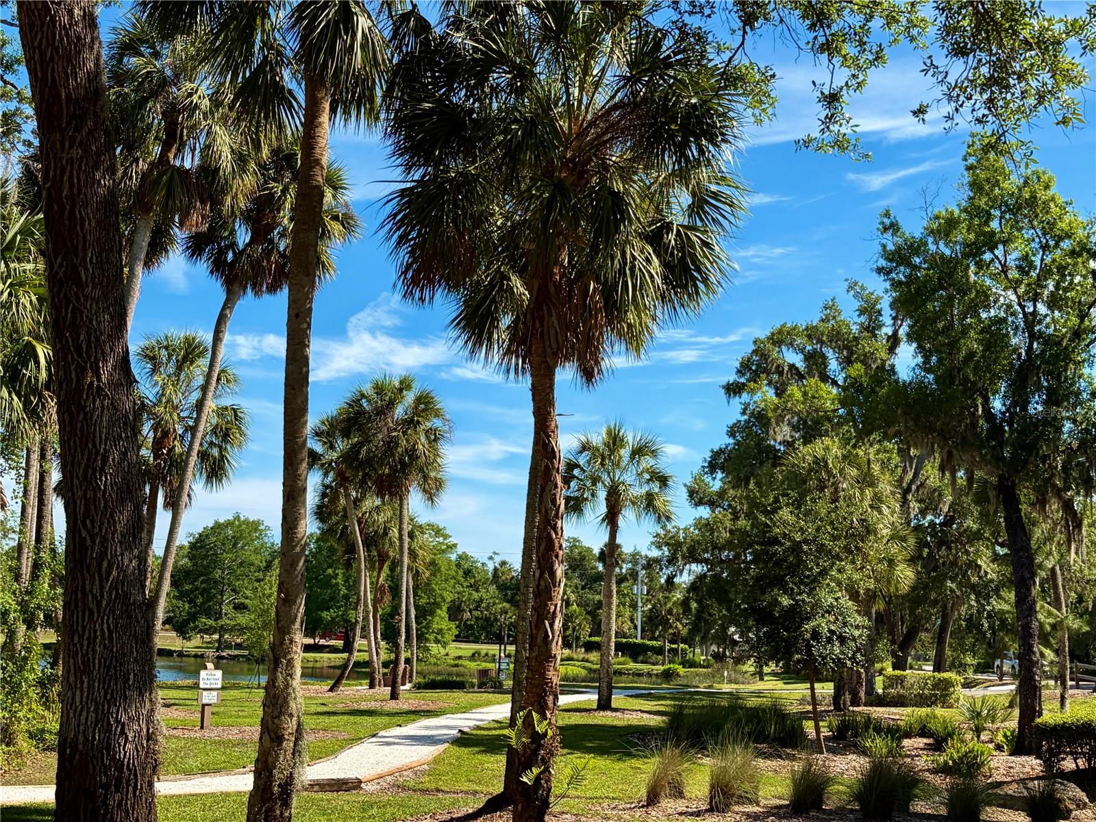 MEADOWS THE - Residential