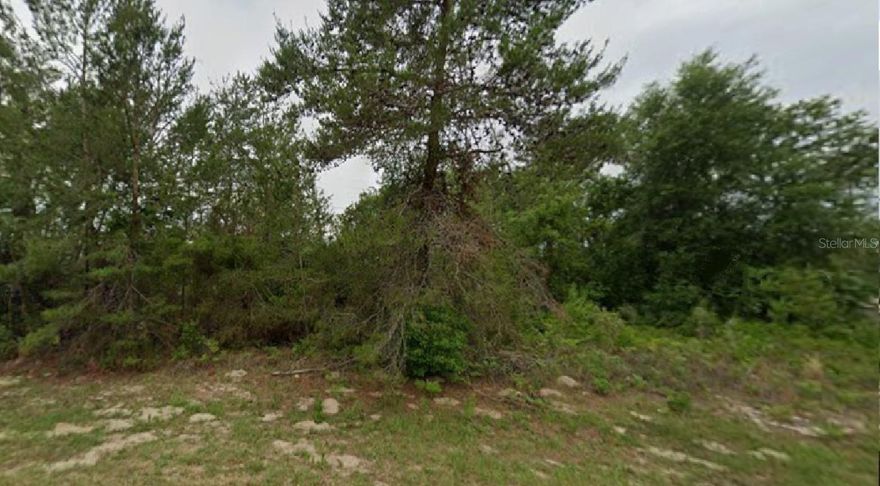 Great vacant lot to build your dream home!