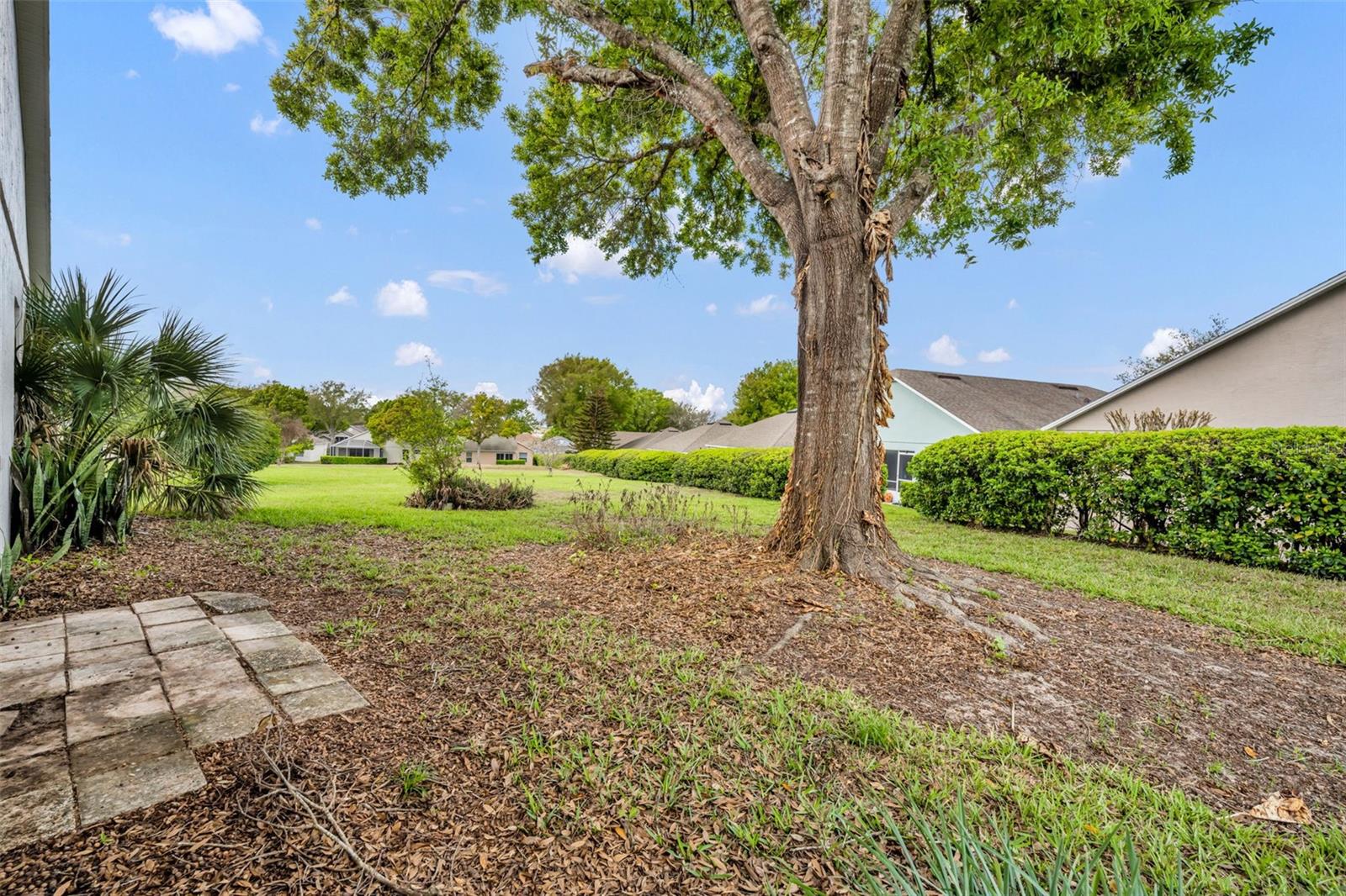 CLERMONT DEVONSHIRE AT KINGS RIDGE - Residential