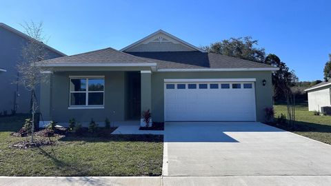 A home in MOUNT DORA