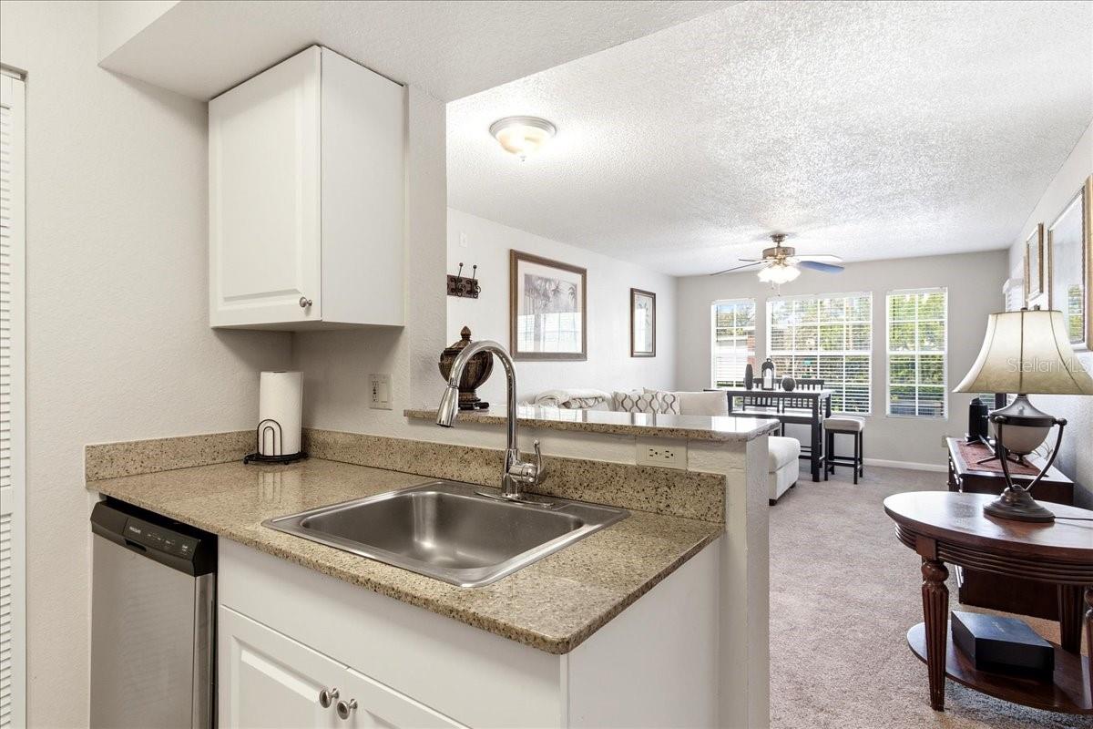 LEXINGTON PLACE CONDO - Residential