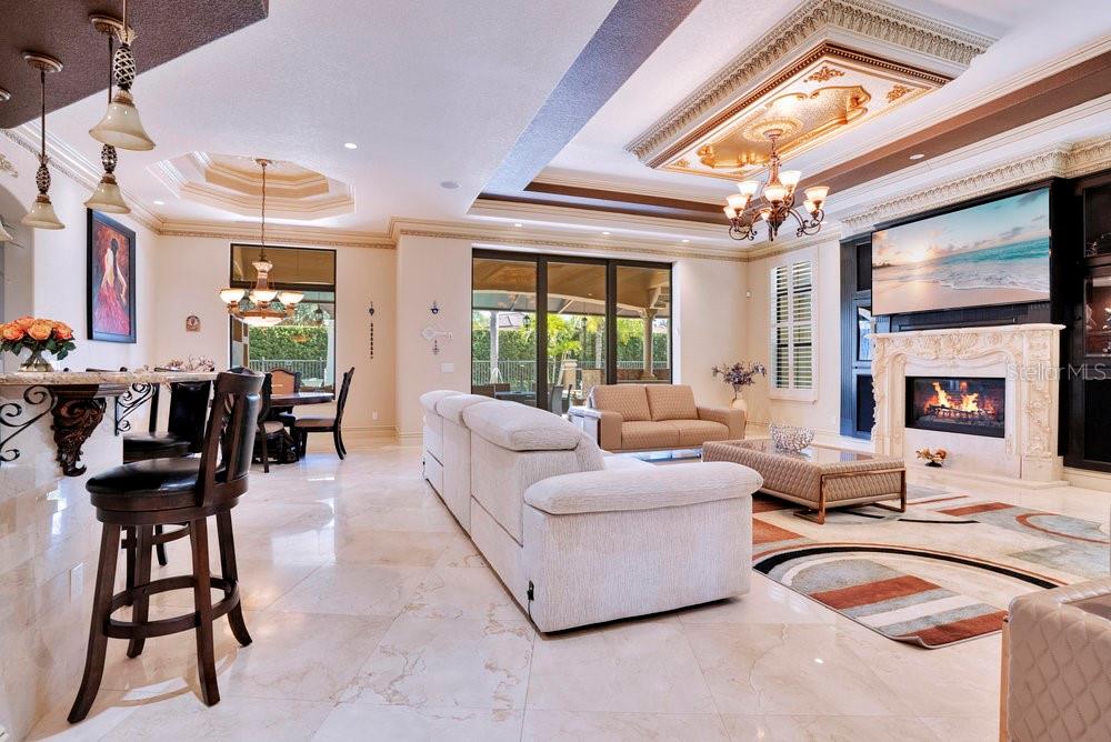 EMERSON POINTE - Residential