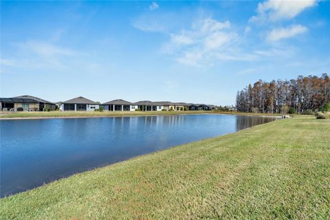 A home in LAND O LAKES