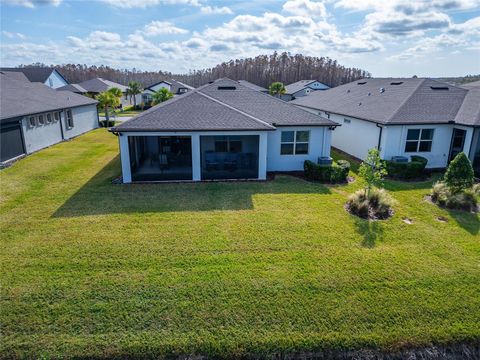 A home in LAND O LAKES