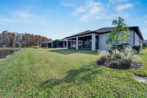 A home in LAND O LAKES