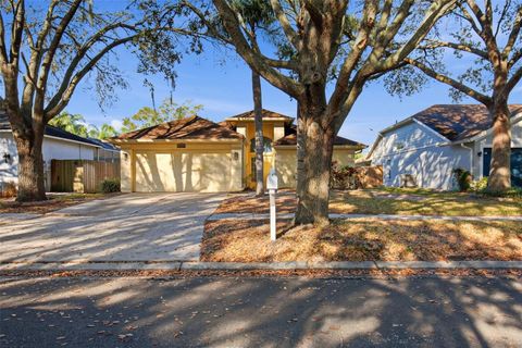 16502 LAKE HEATHER DRIVE TAMPA FL 33618