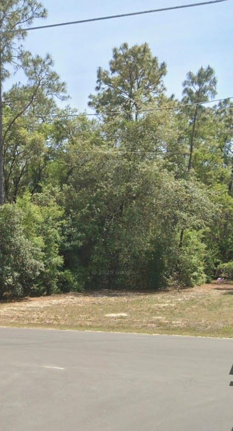 Photo of Tbd Locust Trak, 34472, Ocala, FL 34472 (MLS # GC540271)