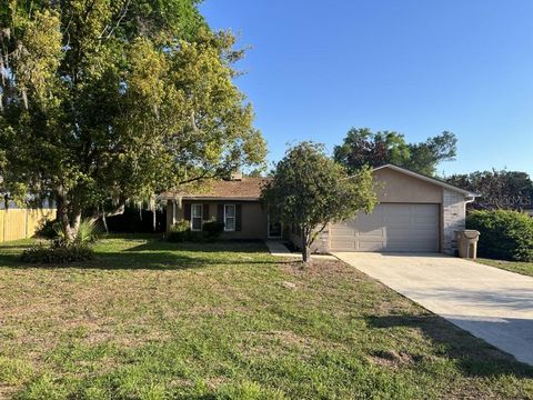 13635 BERKSHIRE COURT GRAND ISLAND FL 32735