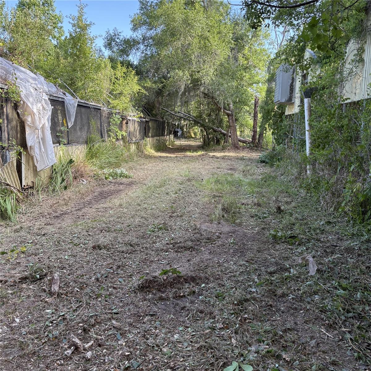 TRASKS ADD TO PLANT CITY - Land