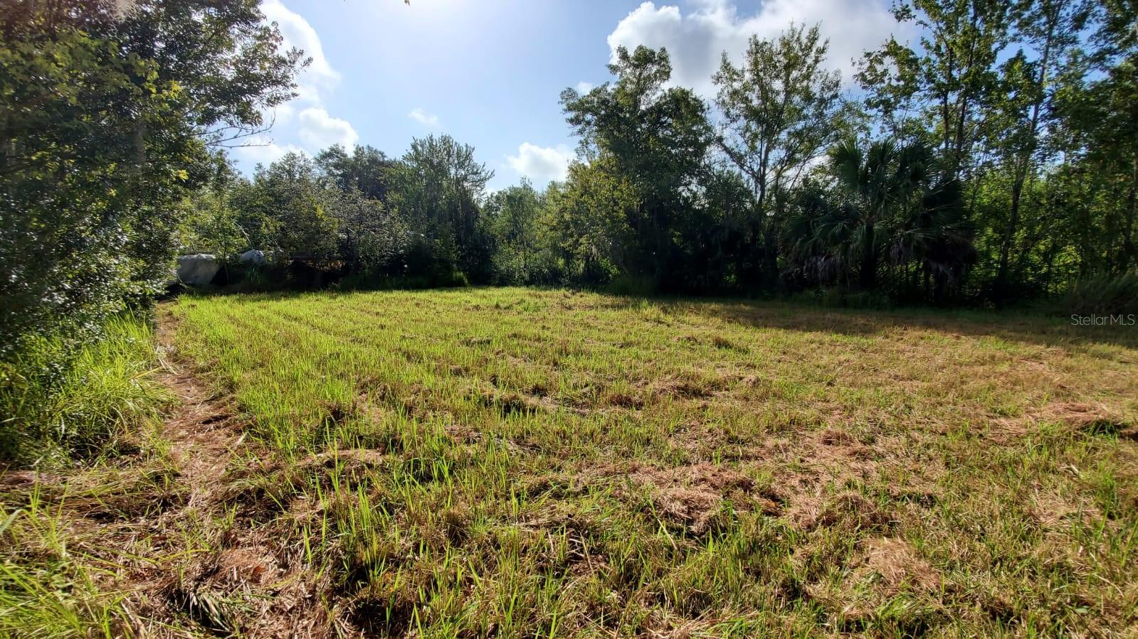 TRASKS ADD TO PLANT CITY - Land