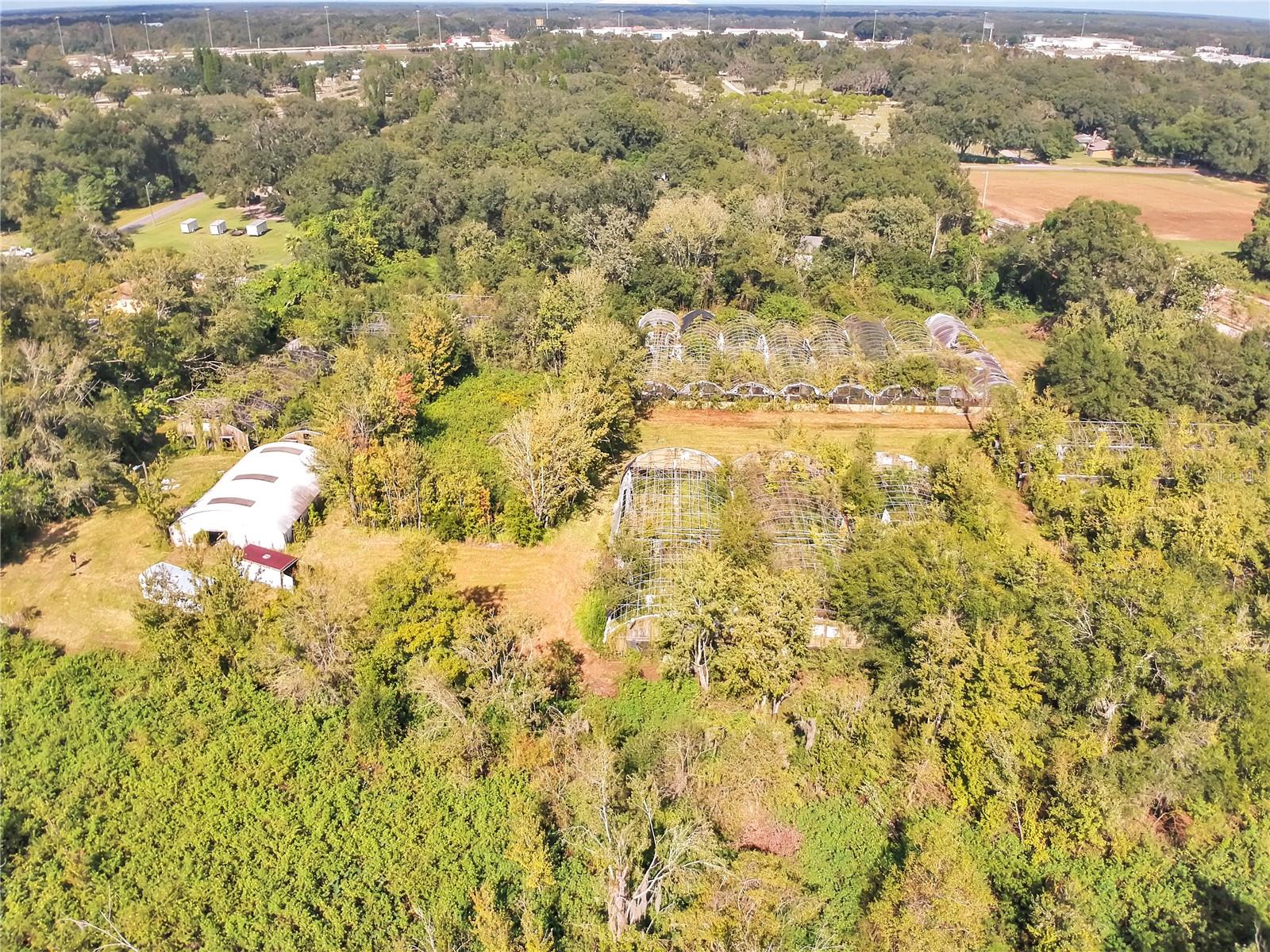 TRASKS ADD TO PLANT CITY - Land