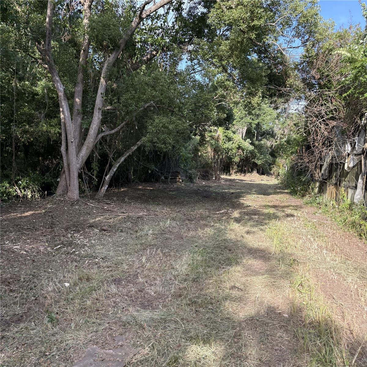 TRASKS ADD TO PLANT CITY - Land