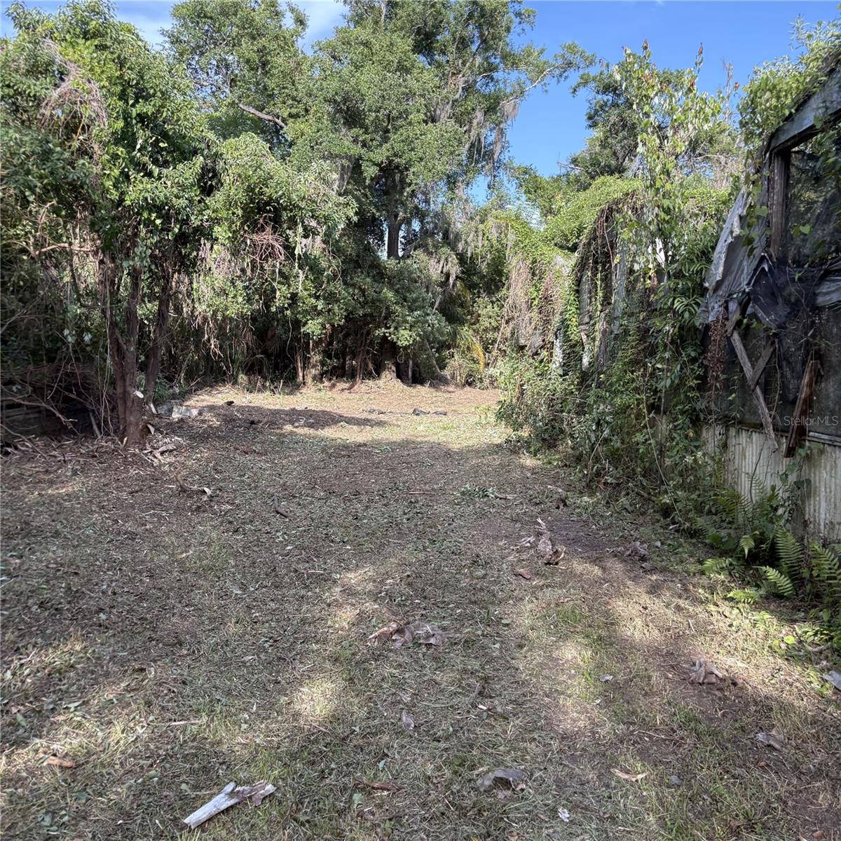 TRASKS ADD TO PLANT CITY - Land