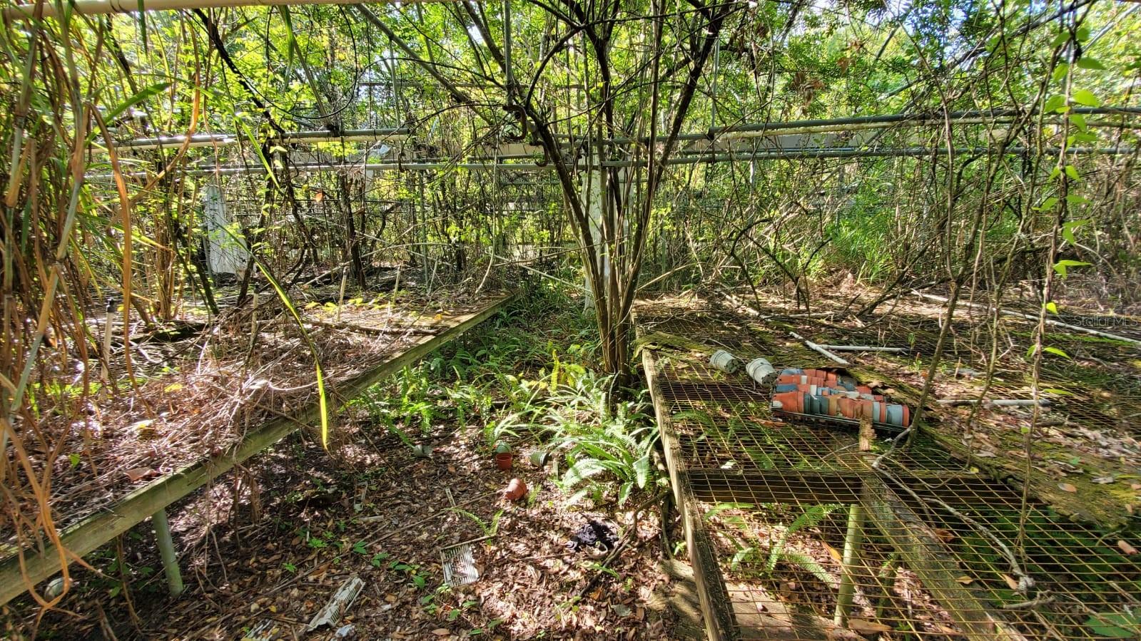 TRASKS ADD TO PLANT CITY - Land