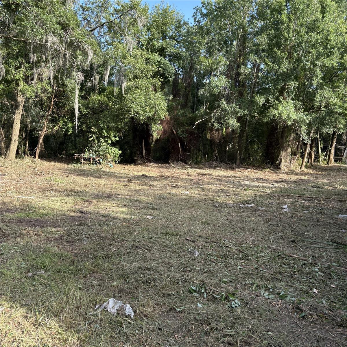 TRASKS ADD TO PLANT CITY - Land