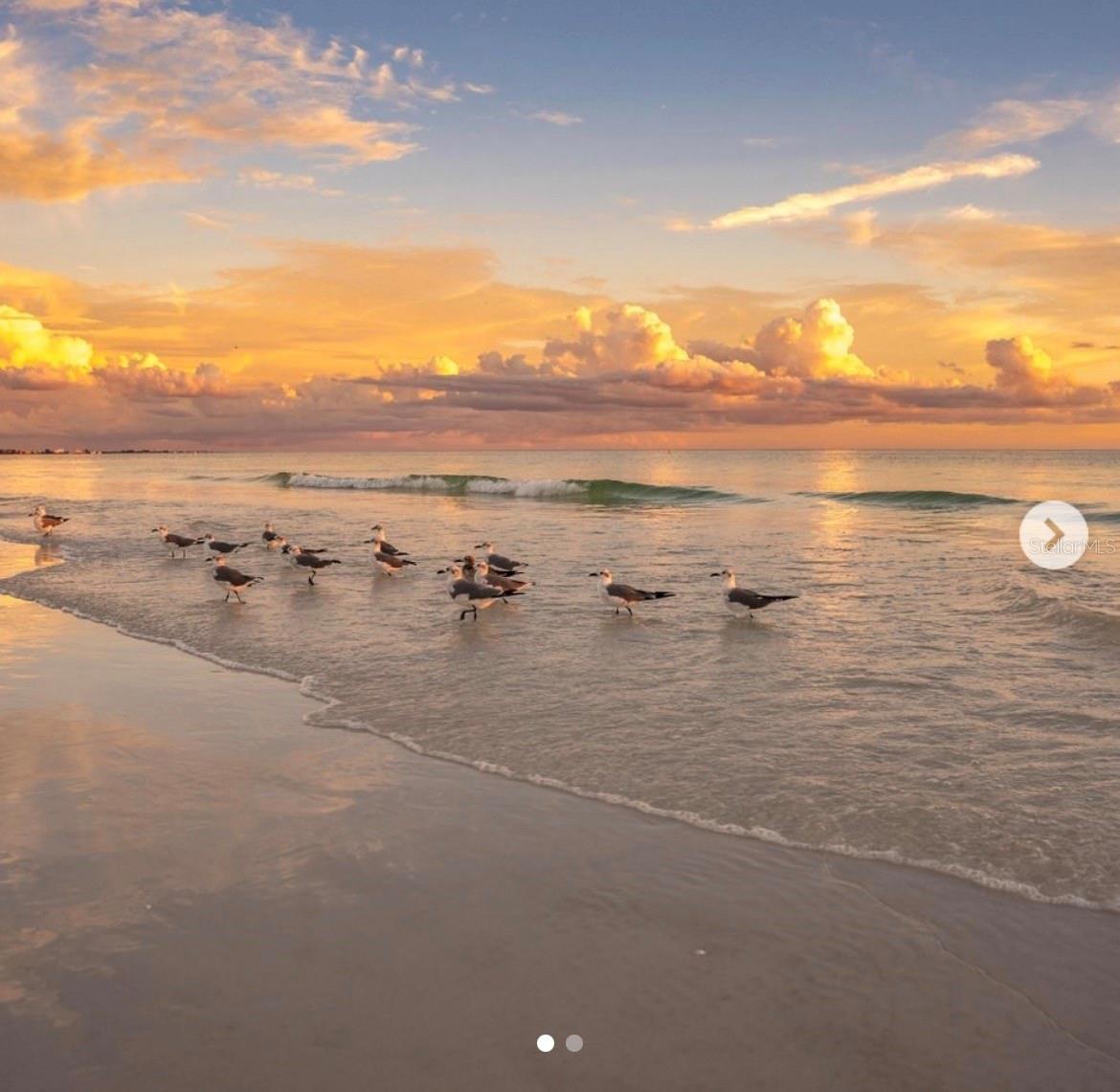 JAMAICA ROYALE - Residential