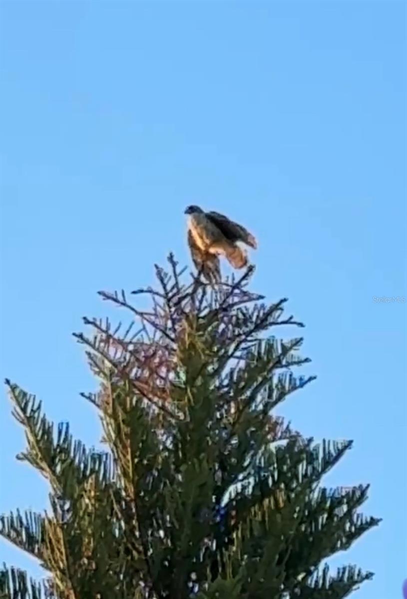 GULF HARBORS SEA FOREST - Residential