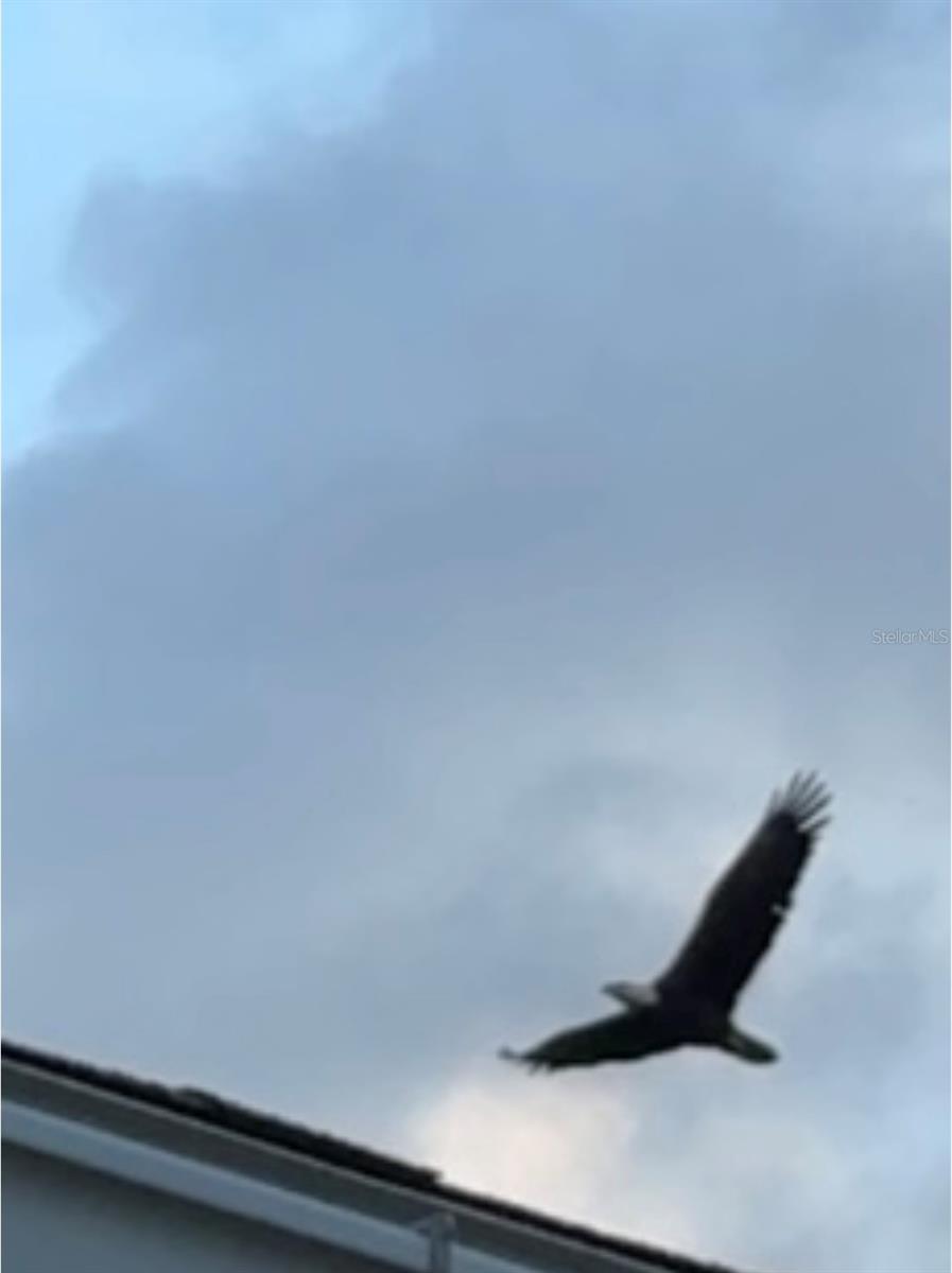 GULF HARBORS SEA FOREST - Residential