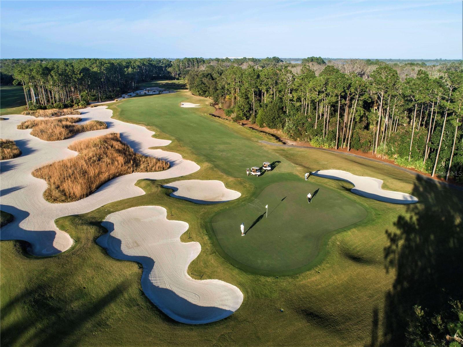 HAMMOCK DUNES - Residential