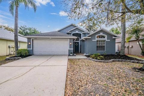Photo of 18955 Wood Sage Drive, Tampa, FL 33647 (MLS # TB8490778)