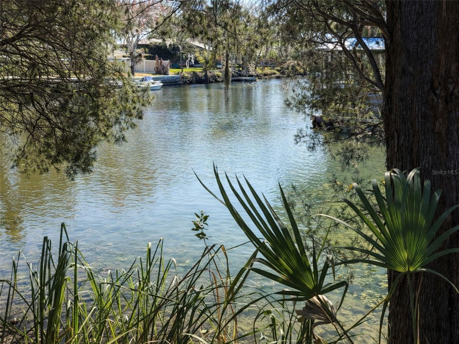 CRYSTAL SHORES - Land