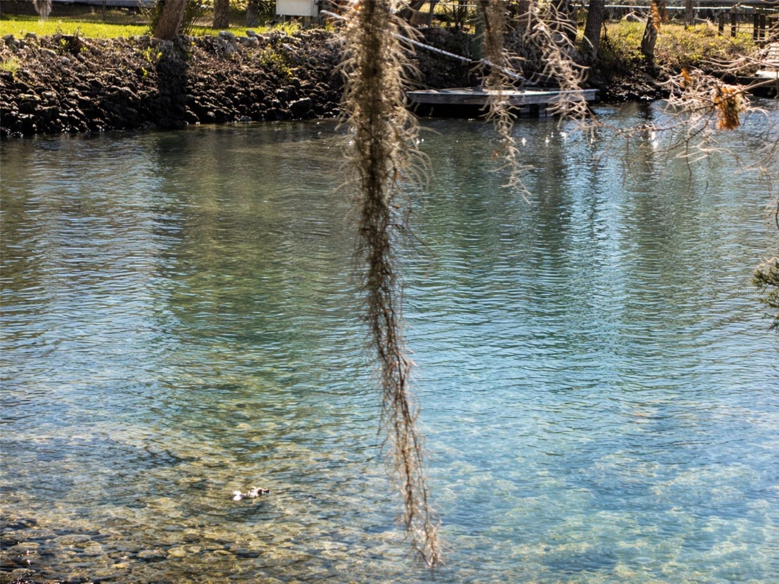 CRYSTAL SHORES - Land